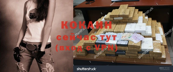 стафф Алексин