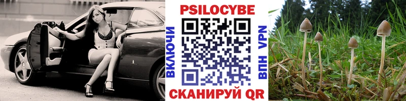 Галлюциногенные грибы GOLDEN TEACHER  купить наркотики сайты  Благовещенск 